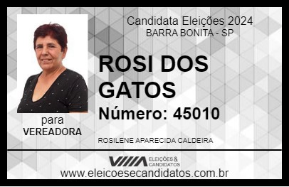 Candidato ROSI DOS GATOS 2024 - BARRA BONITA - Eleições