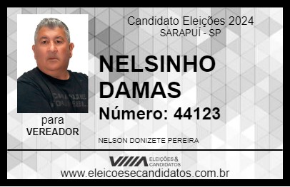 Candidato NELSINHO DAMAS 2024 - SARAPUÍ - Eleições