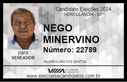 Candidato NEGO MINERVINO 2024 - HERCULÂNDIA - Eleições