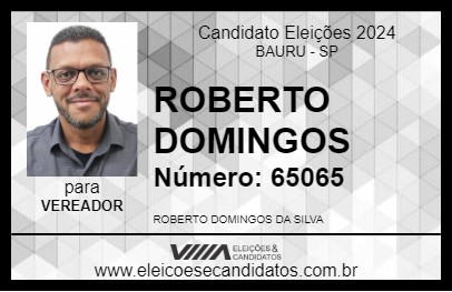 Candidato ROBERTO DOMINGOS 2024 - BAURU - Eleições