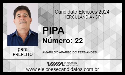 Candidato PIPA 2024 - HERCULÂNDIA - Eleições