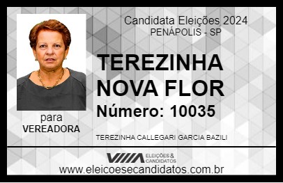 Candidato TEREZINHA NOVA FLOR 2024 - PENÁPOLIS - Eleições