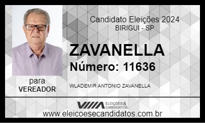 Candidato ZAVANELLA 2024 - BIRIGUI - Eleições