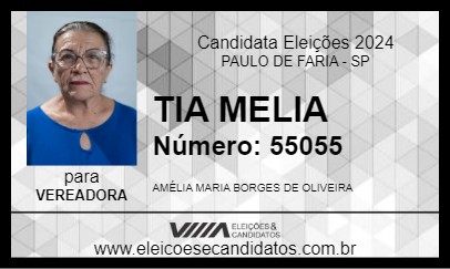 Candidato TIA MELIA 2024 - PAULO DE FARIA - Eleições