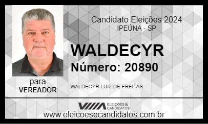 Candidato WALDECYR 2024 - IPEÚNA - Eleições