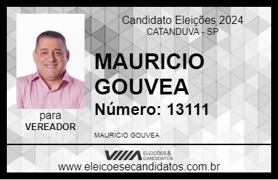 Candidato MAURICIO GOUVEA 2024 - CATANDUVA - Eleições