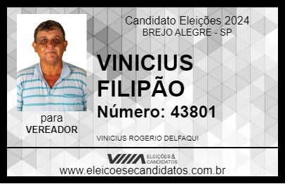 Candidato VINICIUS FILIPÃO 2024 - BREJO ALEGRE - Eleições