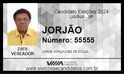 Candidato JORJÃO 2024 - LAVÍNIA - Eleições