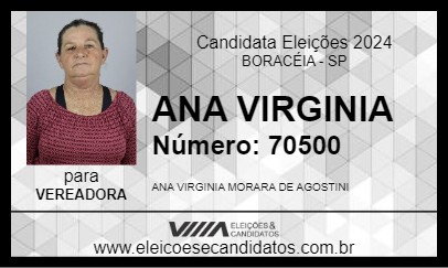 Candidato ANA VIRGINIA 2024 - BORACÉIA - Eleições