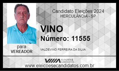 Candidato VINO 2024 - HERCULÂNDIA - Eleições