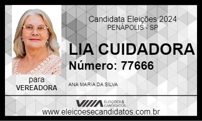 Candidato LIA CUIDADORA 2024 - PENÁPOLIS - Eleições