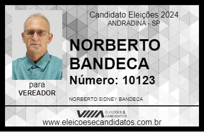 Candidato NORBERTO BANDECA 2024 - ANDRADINA - Eleições