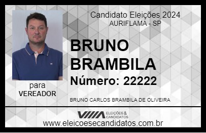 Candidato BRUNO BRAMBILA 2024 - AURIFLAMA - Eleições