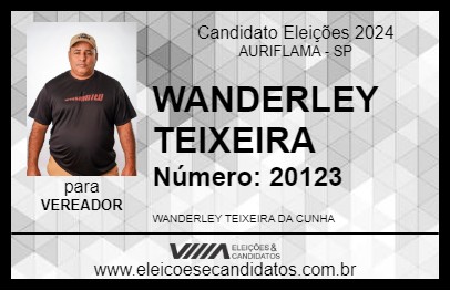 Candidato WANDERLEY TEIXEIRA 2024 - AURIFLAMA - Eleições