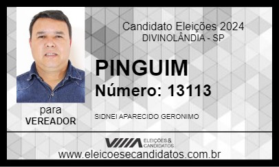 Candidato PINGUIM 2024 - DIVINOLÂNDIA - Eleições