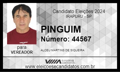 Candidato PINGUIM 2024 - IRAPURU - Eleições