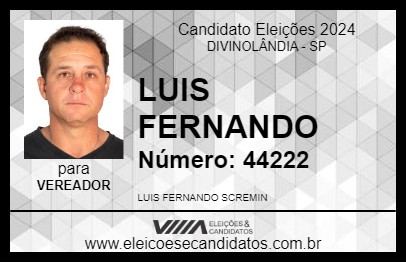 Candidato LUIS FERNANDO 2024 - DIVINOLÂNDIA - Eleições