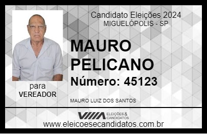 Candidato MAURO PELICANO 2024 - MIGUELÓPOLIS - Eleições