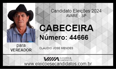 Candidato CABECEIRA 2024 - AVARÉ - Eleições