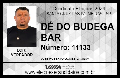 Candidato DÉ DO BUDEGA BAR 2024 - SANTA CRUZ DAS PALMEIRAS - Eleições