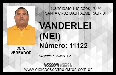 Candidato VANDERLEI (NEI) 2024 - SANTA CRUZ DAS PALMEIRAS - Eleições