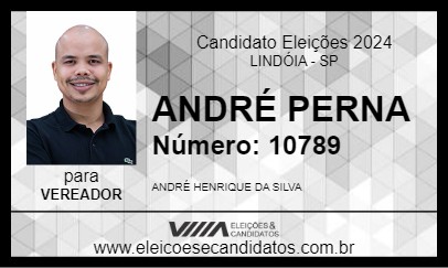 Candidato ANDRÉ PERNA 2024 - LINDÓIA - Eleições