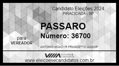 Candidato PASSARO 2024 - PIRACICABA - Eleições