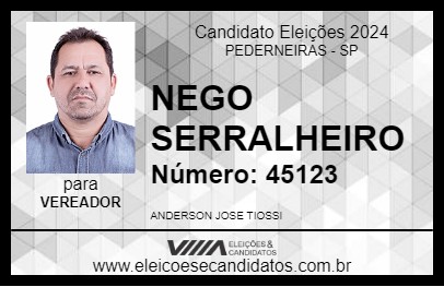 Candidato NEGO SERRALHEIRO 2024 - PEDERNEIRAS - Eleições