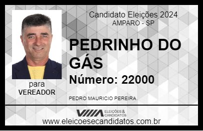 Candidato PEDRINHO DO GÁS 2024 - AMPARO - Eleições