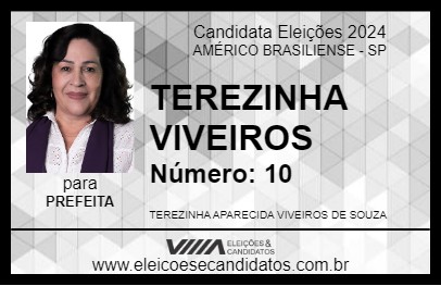 Candidato TEREZINHA VIVEIROS 2024 - AMÉRICO BRASILIENSE - Eleições