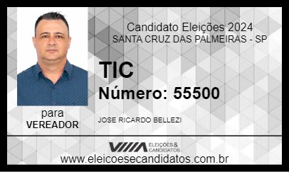 Candidato TIC 2024 - SANTA CRUZ DAS PALMEIRAS - Eleições