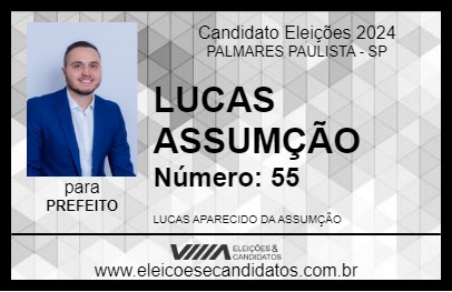 Candidato LUCAS ASSUMÇÃO 2024 - PALMARES PAULISTA - Eleições