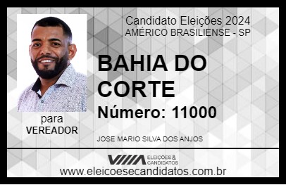 Candidato BAHIA DO CORTE 2024 - AMÉRICO BRASILIENSE - Eleições