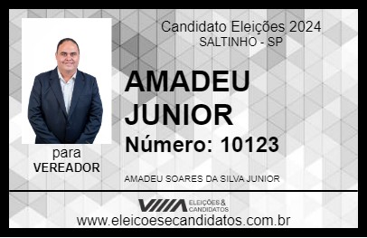 Candidato AMADEU JUNIOR 2024 - SALTINHO - Eleições