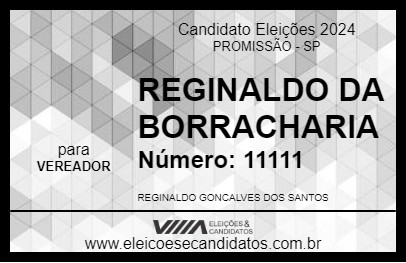 Candidato REGINALDO DA BORRACHARIA 2024 - PROMISSÃO - Eleições