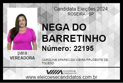 Candidato NEGA DO BARRETINHO 2024 - ROSEIRA - Eleições