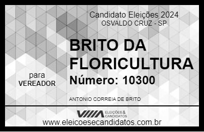 Candidato BRITO DA FLORICULTURA 2024 - OSVALDO CRUZ - Eleições