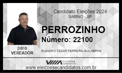 Candidato PERROZINHO 2024 - SABINO - Eleições