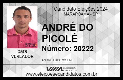 Candidato ANDRÉ DO PICOLÉ 2024 - MARAPOAMA - Eleições