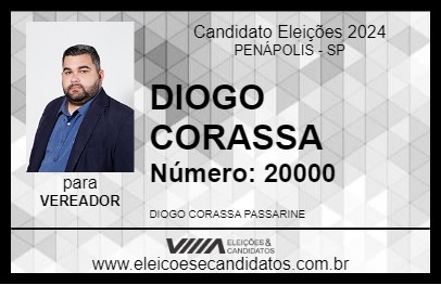 Candidato DIOGO CORASSA 2024 - PENÁPOLIS - Eleições