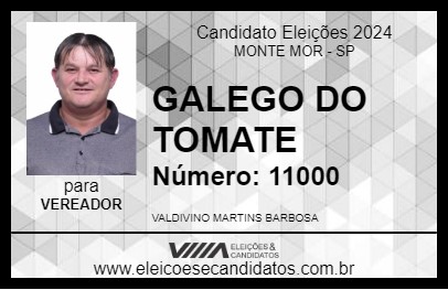 Candidato GALEGO DO TOMATE 2024 - MONTE MOR - Eleições