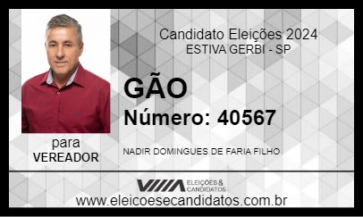 Candidato GÃO 2024 - ESTIVA GERBI - Eleições