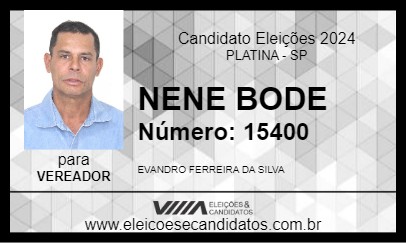 Candidato NENE BODE 2024 - PLATINA - Eleições