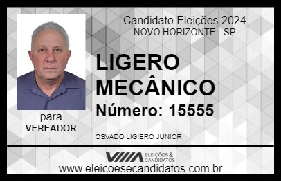 Candidato LIGERO MECÂNICO 2024 - NOVO HORIZONTE - Eleições