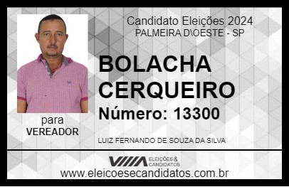 Candidato BOLACHA CERQUEIRO 2024 - PALMEIRA D\OESTE - Eleições