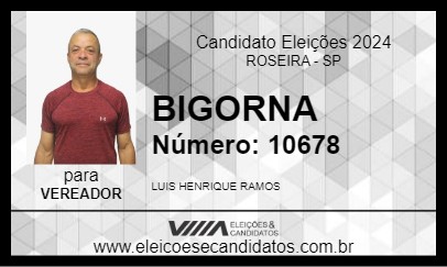 Candidato BIGORNA  2024 - ROSEIRA - Eleições