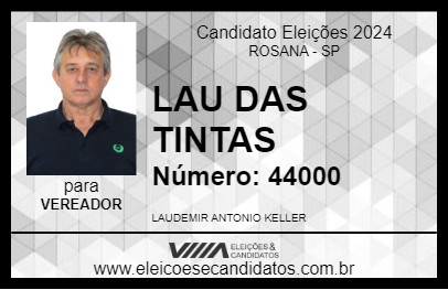 Candidato LAU DAS TINTAS 2024 - ROSANA - Eleições