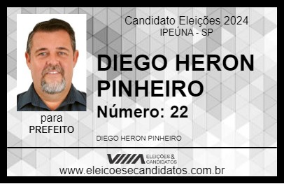 Candidato DIEGO HERON PINHEIRO 2024 - IPEÚNA - Eleições