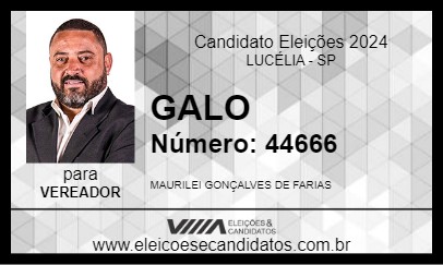 Candidato GALO 2024 - LUCÉLIA - Eleições