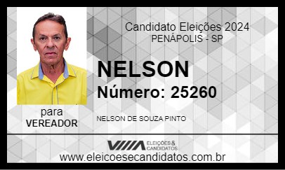 Candidato NELSON 2024 - PENÁPOLIS - Eleições